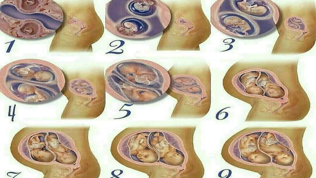 دکتر متخصص زنان و زایمان در قرچک